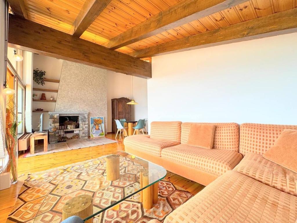 Attique de prestige face aux sommets Alpins - 1