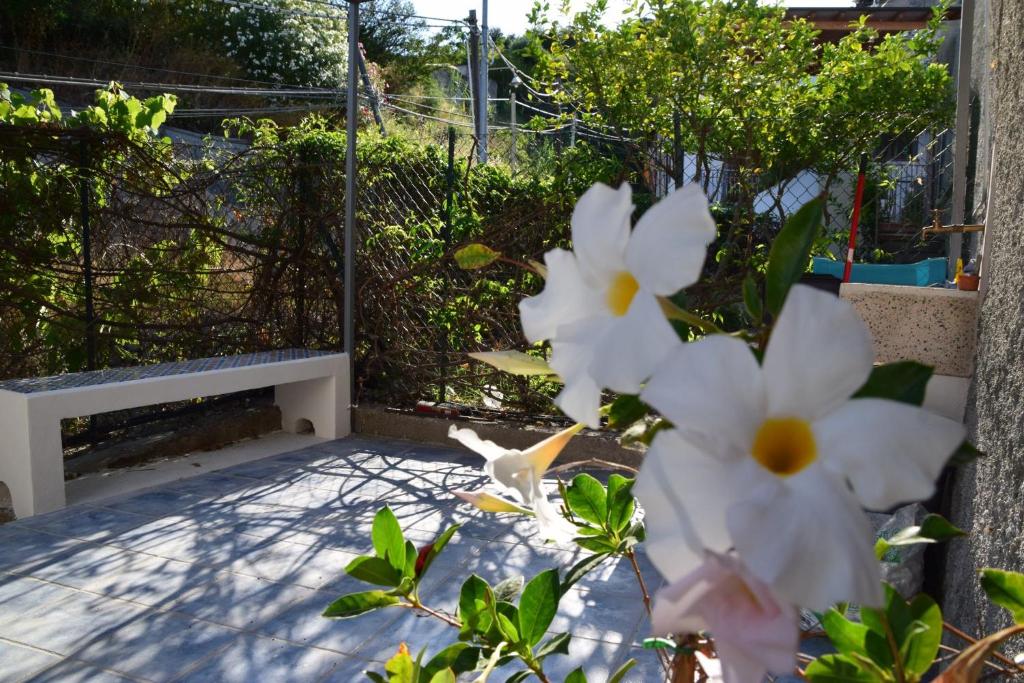 Casa Maraya - 2