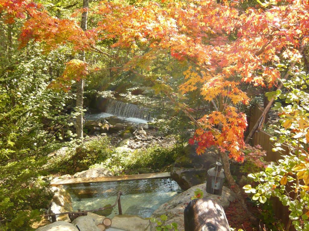 Hot spring bath