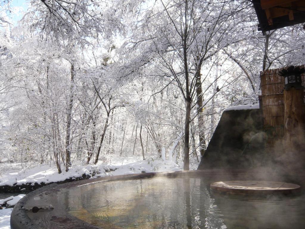 Hot spring bath
