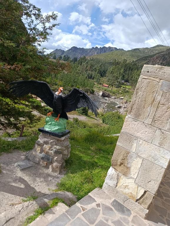 HOSTAL ANDINA - Chivay - 5