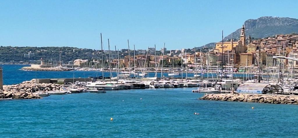 Splendide studio front de mer - 5