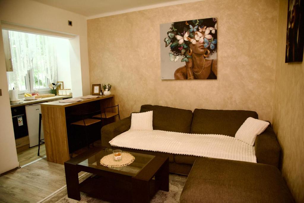 Casa Dorcol - 2