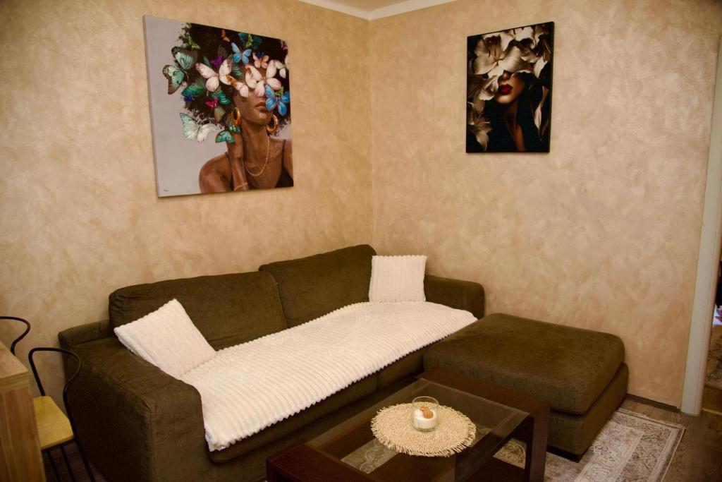 Casa Dorcol - 3