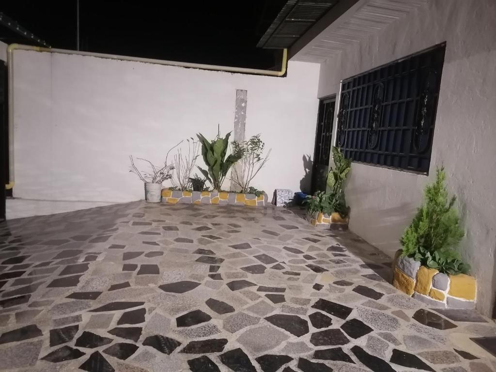 Apartamento vacacional viaja con tu mascota - 4