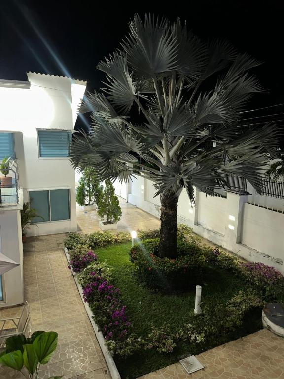 Casa Privada, piscina, Pet Friendly, BBQ Area - 4