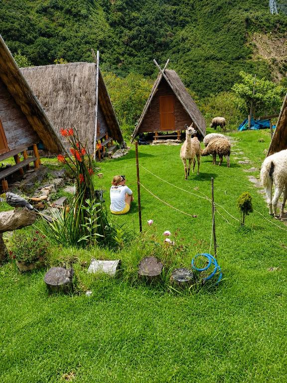 Llama Wasi Andean Cabins Chaullay - 3
