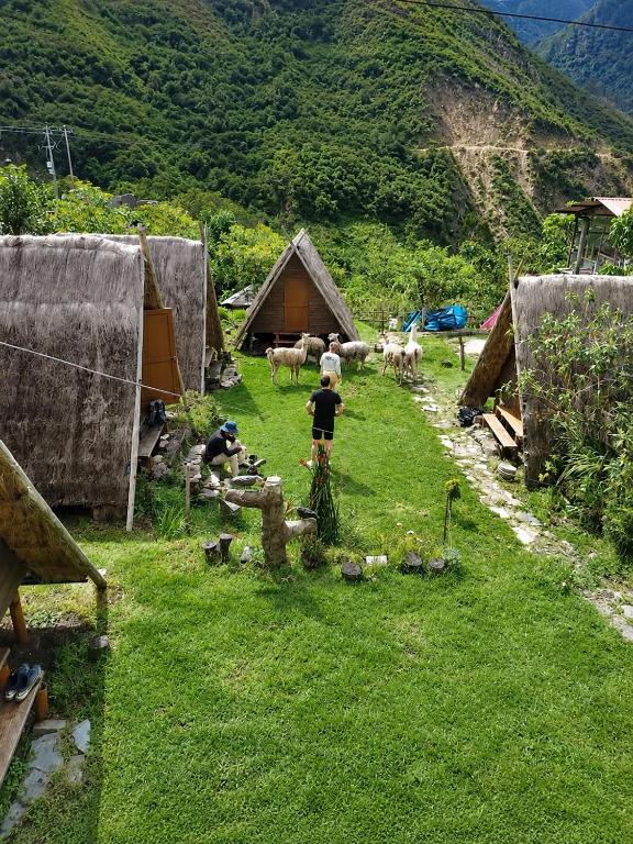 Llama Wasi Andean Cabins Chaullay - 5