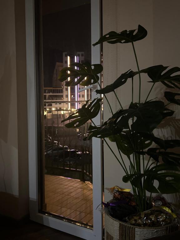 Apartman Lily - 2