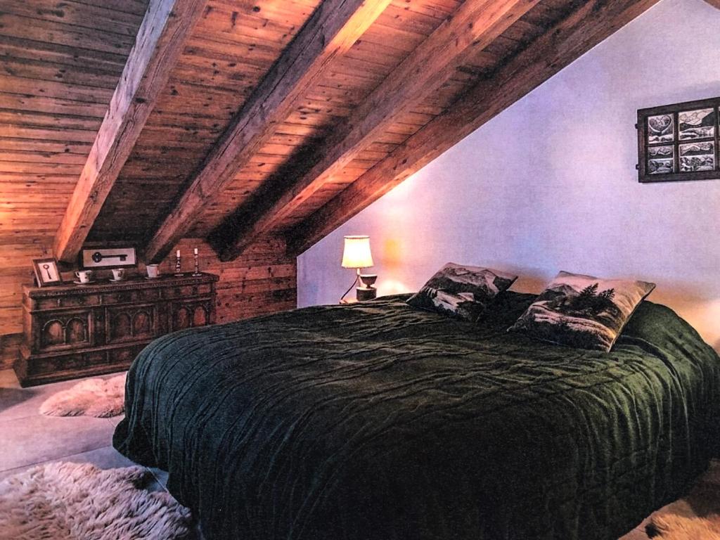 Chalet Solie ski in/out - 5