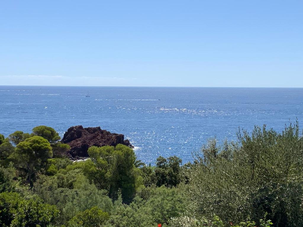 Paradis bleu - 1