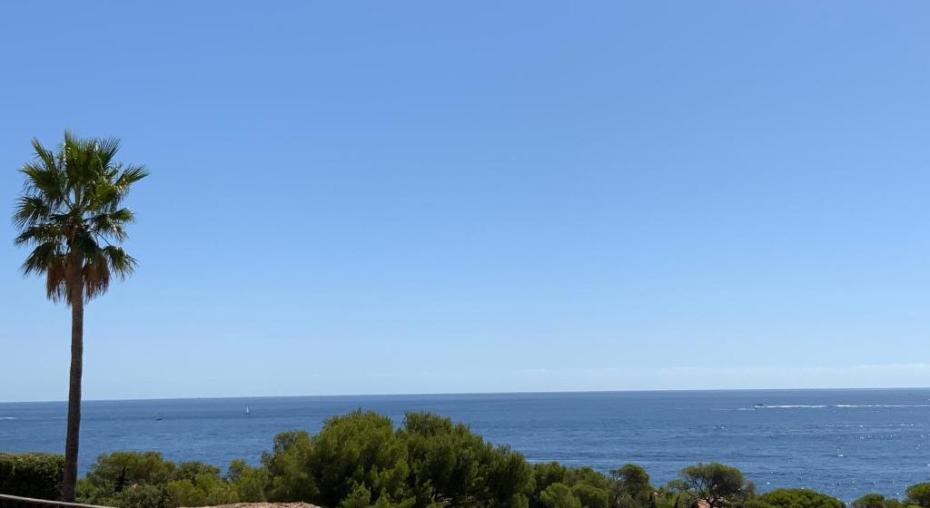 Paradis bleu - 3
