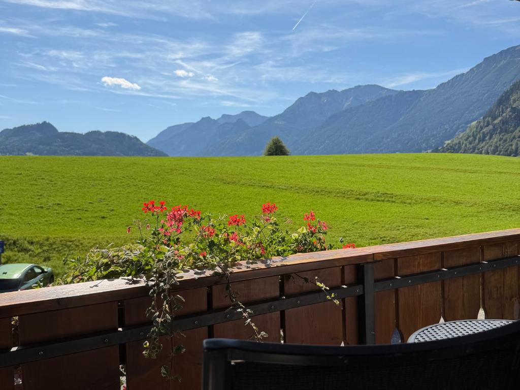 Ferienwohnung Enzian mit Bergblick - 1