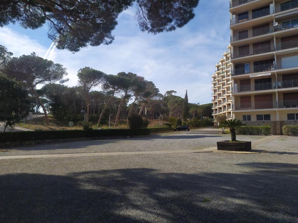 Lovely apartment in La Fosca - 4