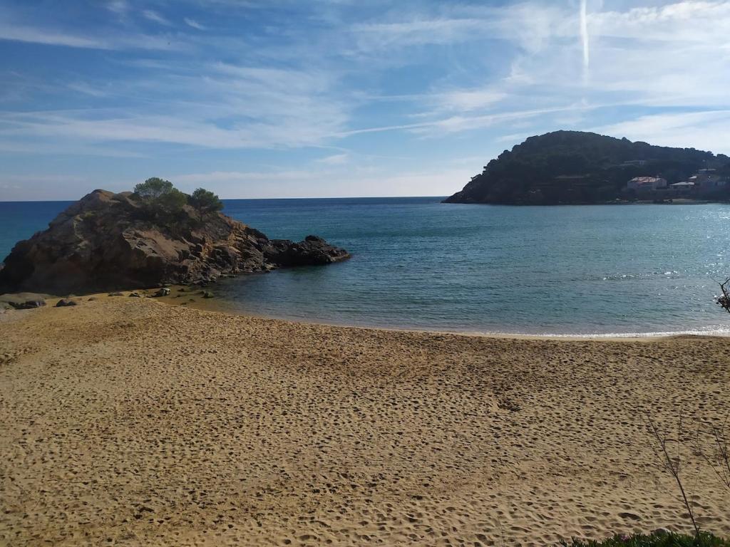 Lovely apartment in La Fosca - 5
