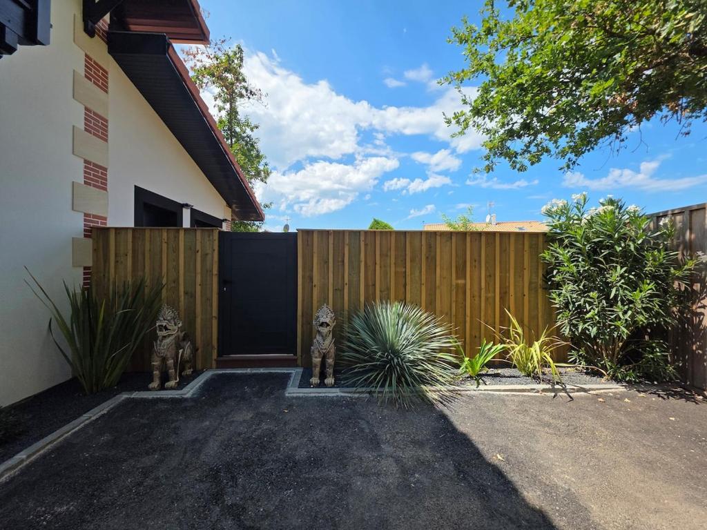 maison indépendante, 30m carré, entrée privée parking sécurisé - 5