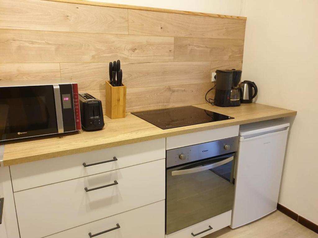 appartement T1 Camille et anthony AVEC PARKING - 2