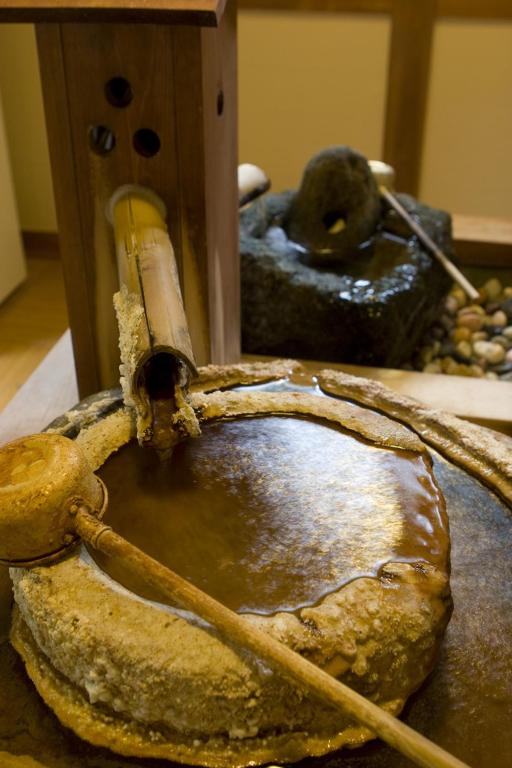 Hot spring bath