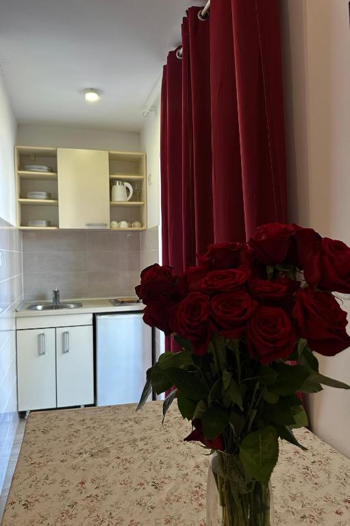 Apartmani Bulevar Budva - 4