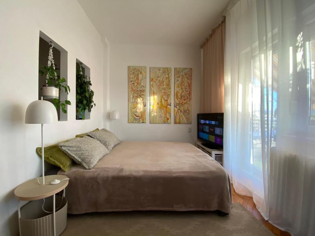 Penthouse Modena - 3