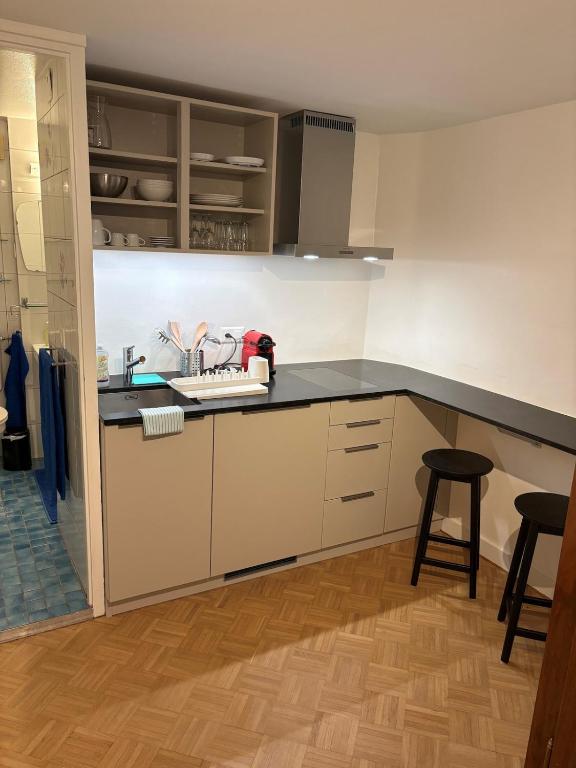 Nice 30 m2 studio, Geneva city center - 3