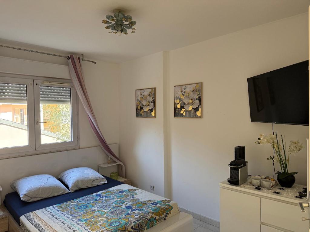A beautiful room in Nice - 2
