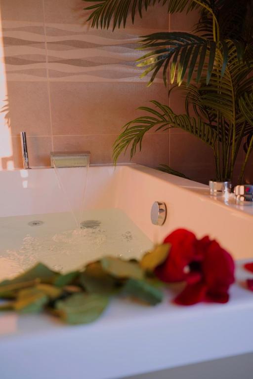 maison balneo ou love room jardin terrasse vue - 3