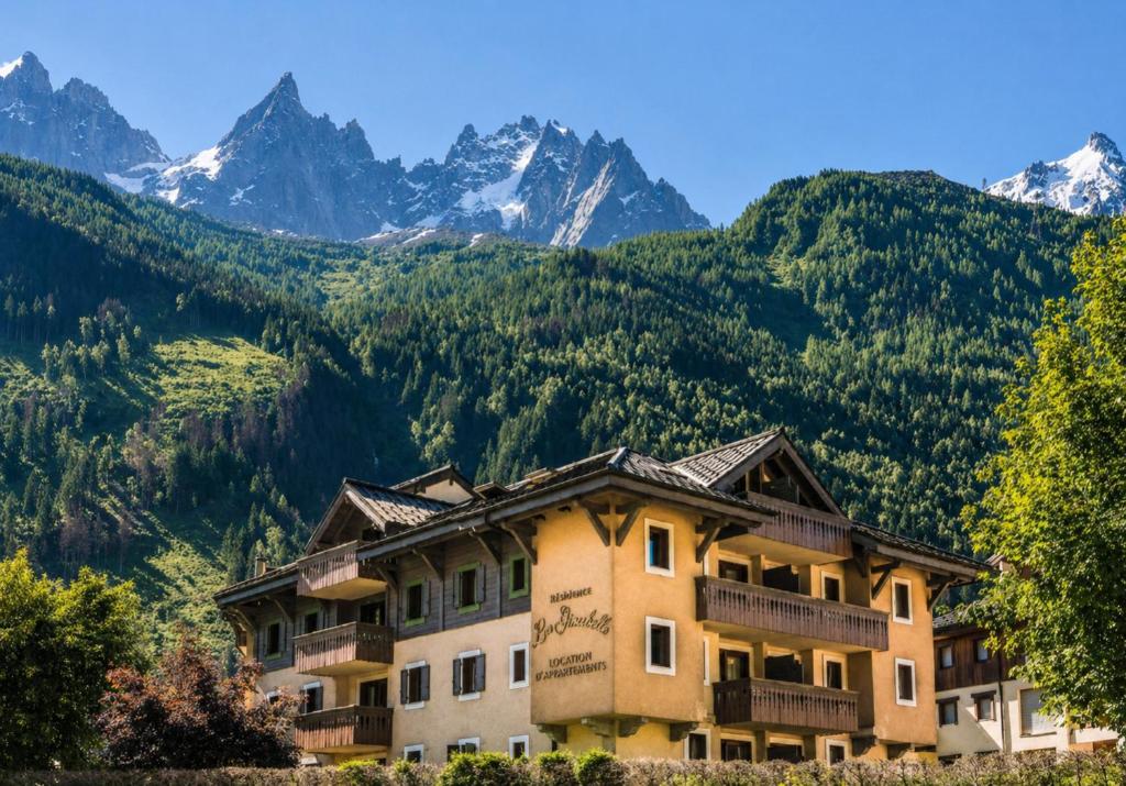 La Ginabelle – vue Mont Blanc avec piscine - 1