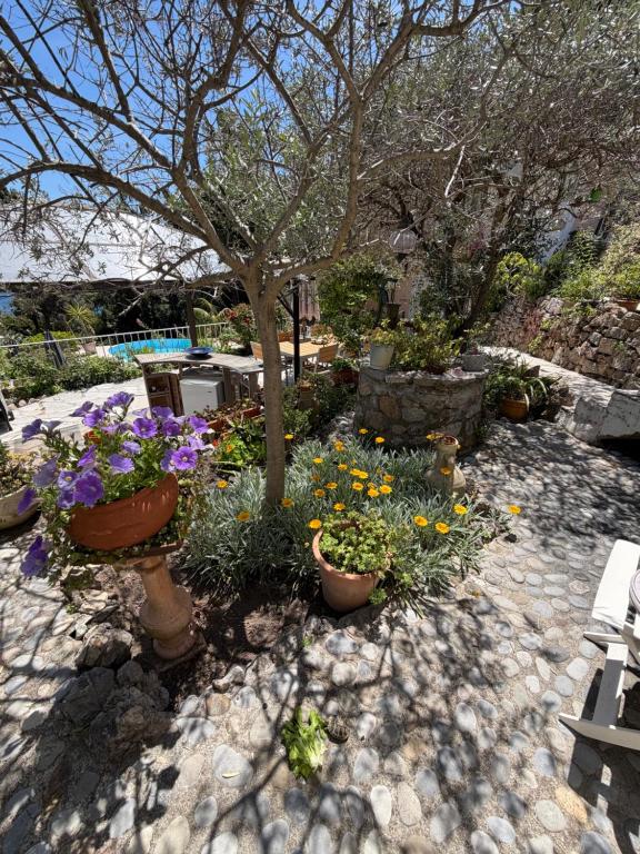 Maison paradis - 5