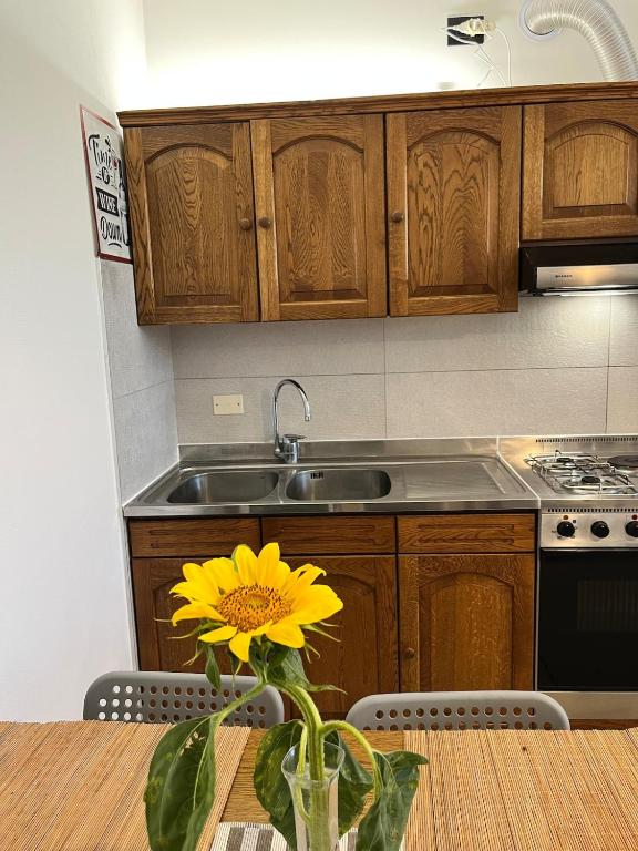 Ca' Dante tra i Ciliegi, ingresso cucina e soggiorno privati - 4