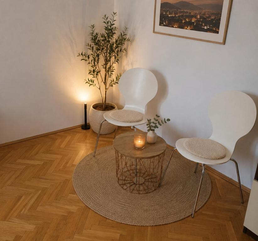 2 ViN Apartments Sarajevo with Free Parking - 1