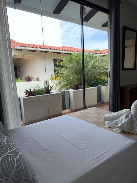 Hotel Caliz - 4