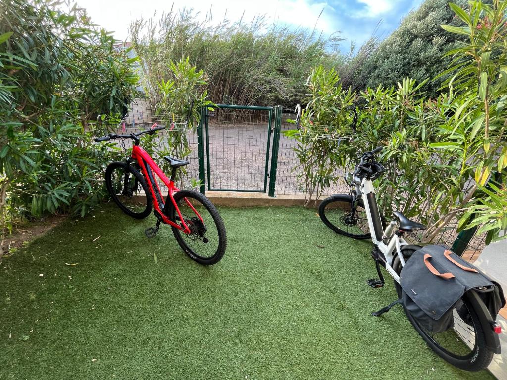 Grand Studio rez de jardin climatisé avec parking à 5 min à pieds de la mer et commerces - 2