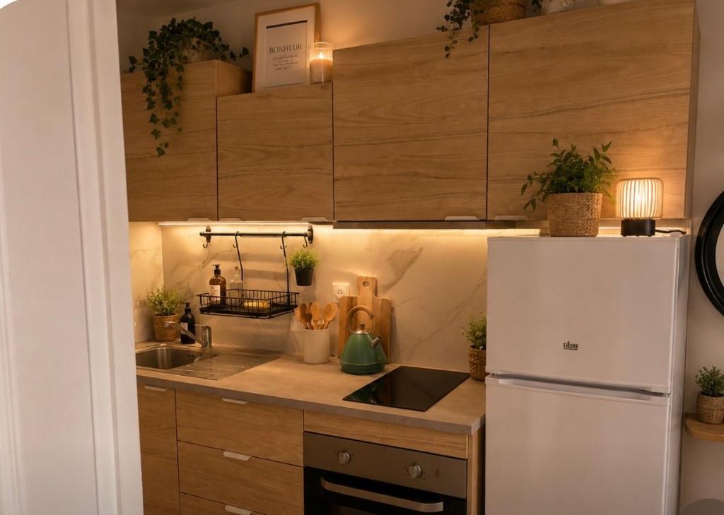 appartement une chambre - 5