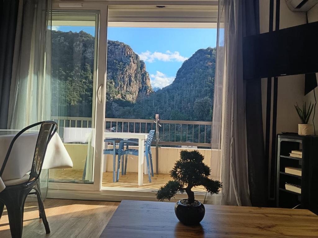 Magnifique studio avec vue au pied des thermes - 1