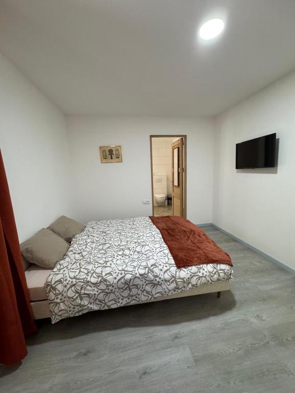 Chambre 25m2, avec salle de salle de bains privative, en hyper centre, Aix les Bains - 3