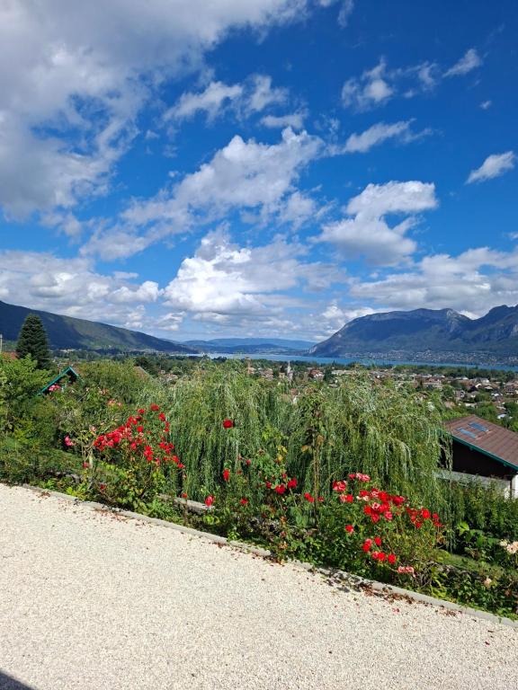 La Soldanelle vue lac et montagnes - 1