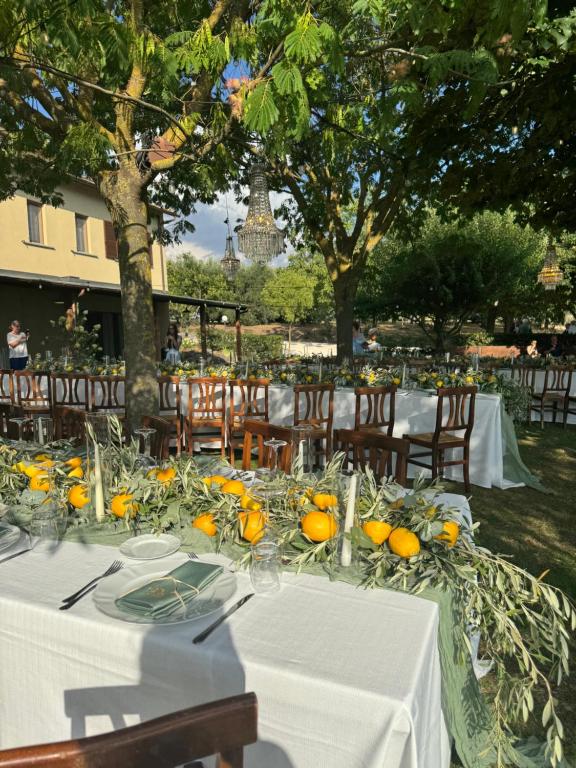 Agriturismo Belvedere - 2