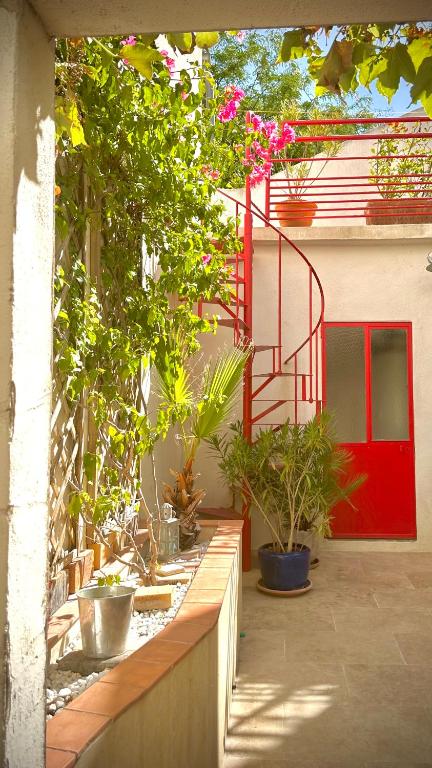 Gite AVIGNON BOUGAINVILLIER - 1