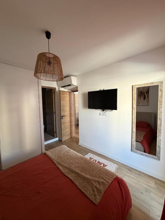 Logement T2 - Ajaccio - 5