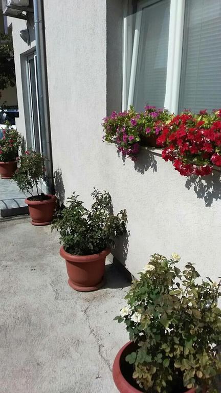 Apartments Jovan photo