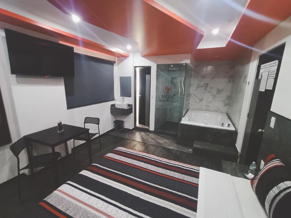 hotel bicos - 3