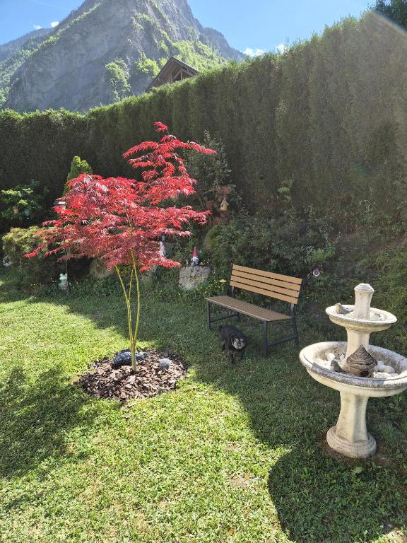 Le cocon des Alpes - 2