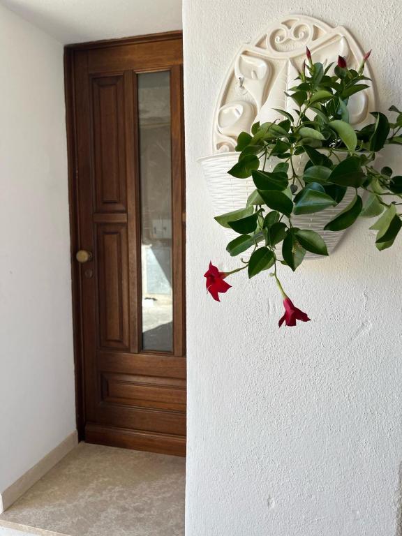 Casa Vacanza La Pavoncella - 2