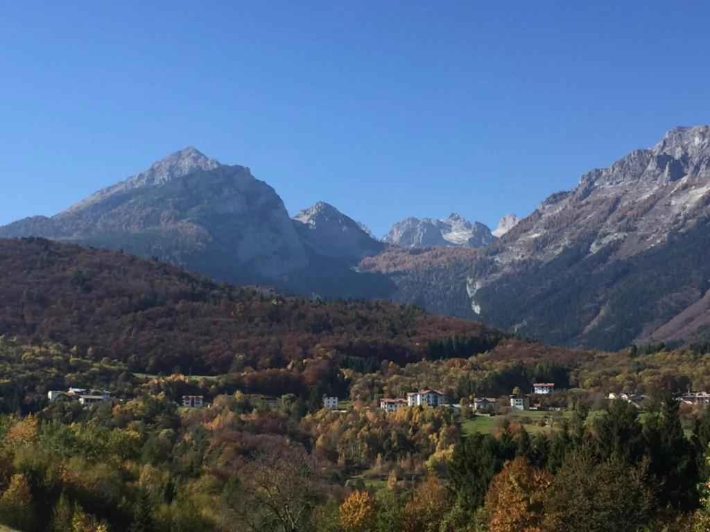Studio with BBQ in Cavedago-Suedtirol 54311 - 4