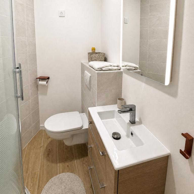 Apartment Villeurbanne - 4