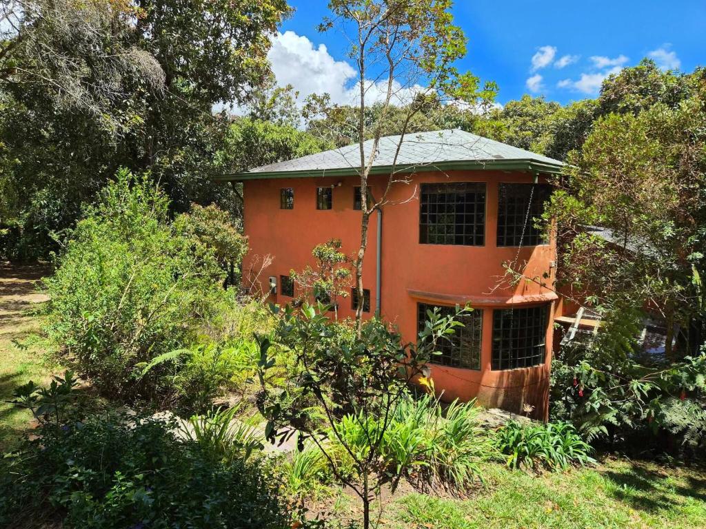 House for 10 in an oak forest Santa Elena - 5