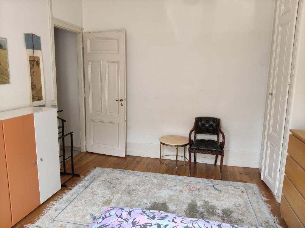Spacious unique 150m2 apartment Geneva city center - 4