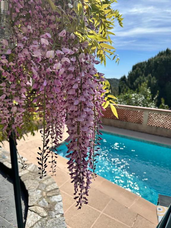 Villa 4-5 personnes colline de Valcros, vue magnifique et piscine privative - 2