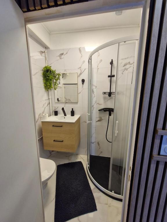 Air-conditioned 4-seater new studio apartment - 4